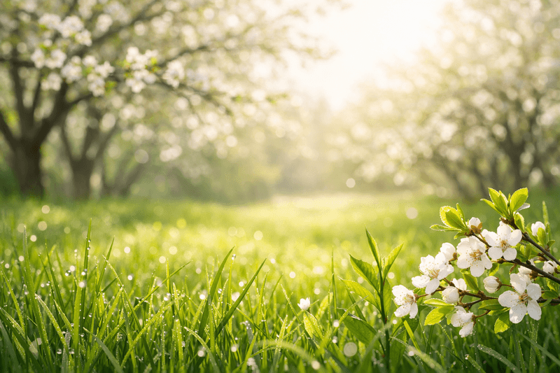 Vegane Energie für den Frühling: Dein Einkaufsberater für pflanzliche Power-Supplements